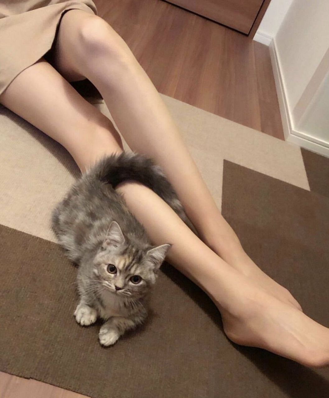 這樣的美足 真想放在嘴里吸個不停
