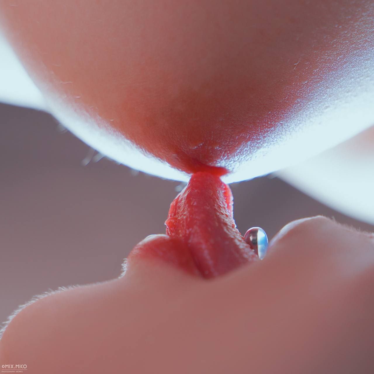 燦如春華皎如秋月
