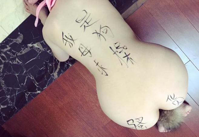 各種名器粉鮑魚白虎 一