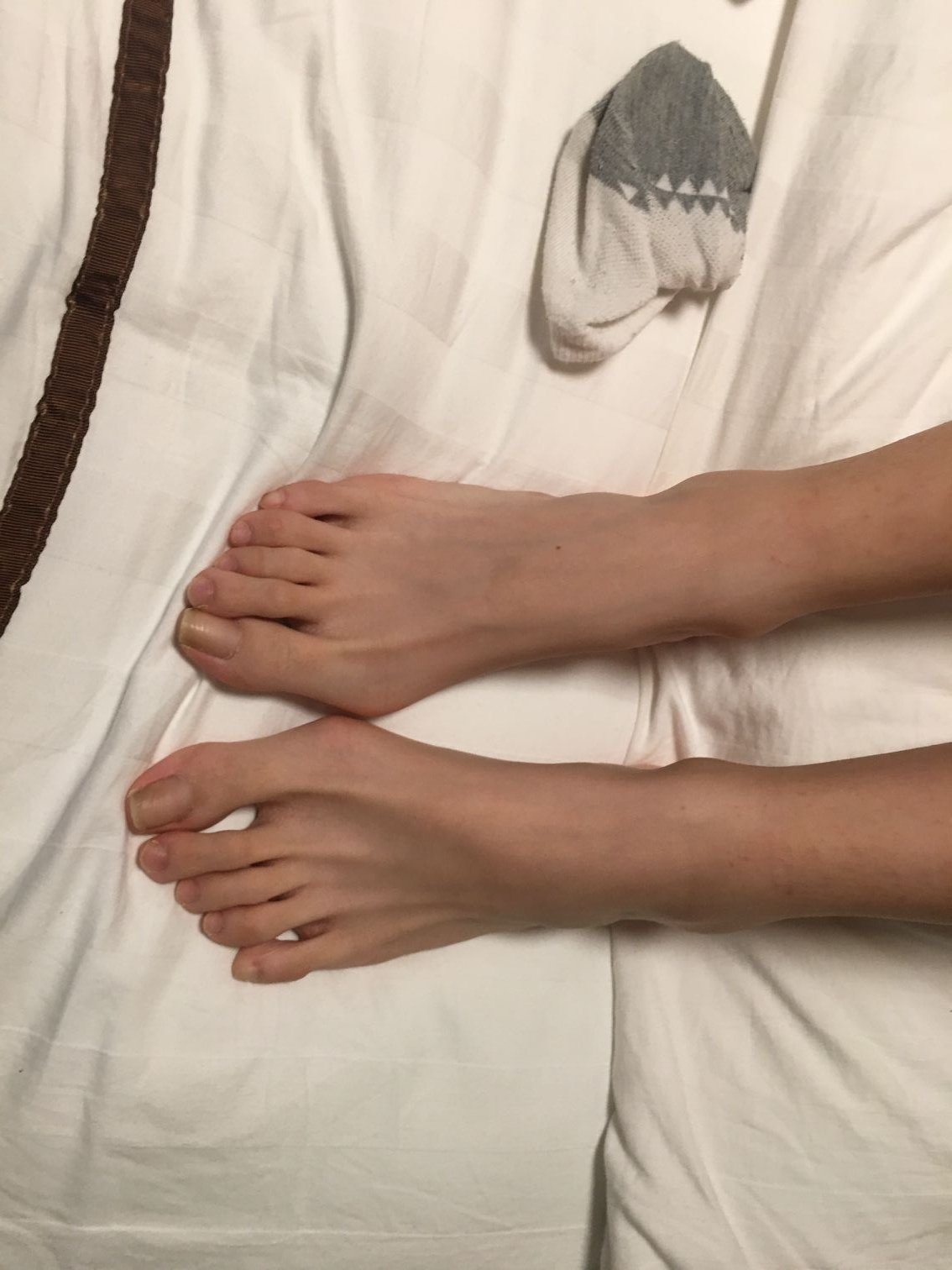 腿 腳 （量大管飽）