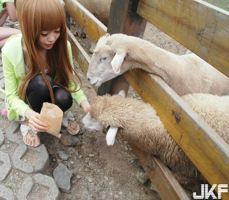 網路正妹蔡苡柔小萌