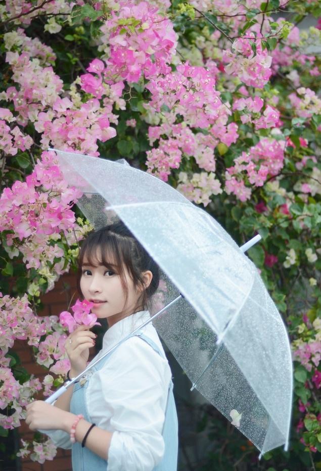 初夏雨后的清新時光寫真