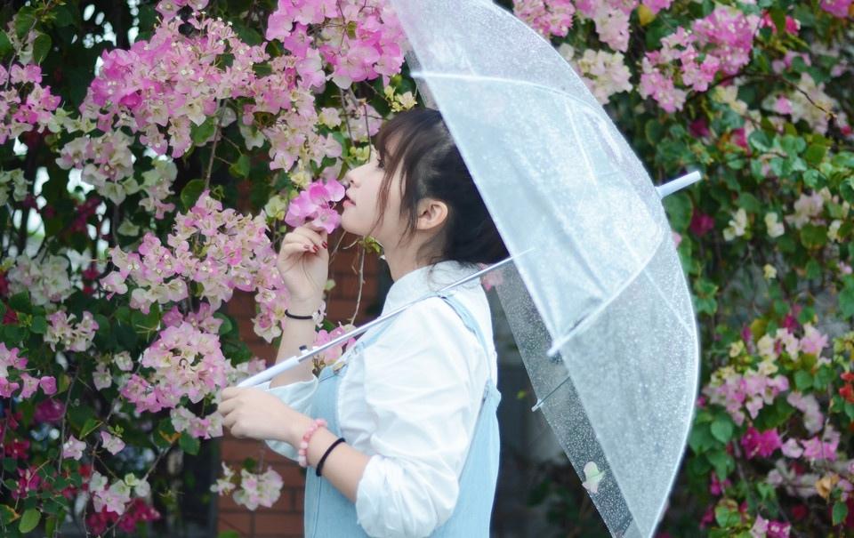 初夏雨后的清新時光寫真