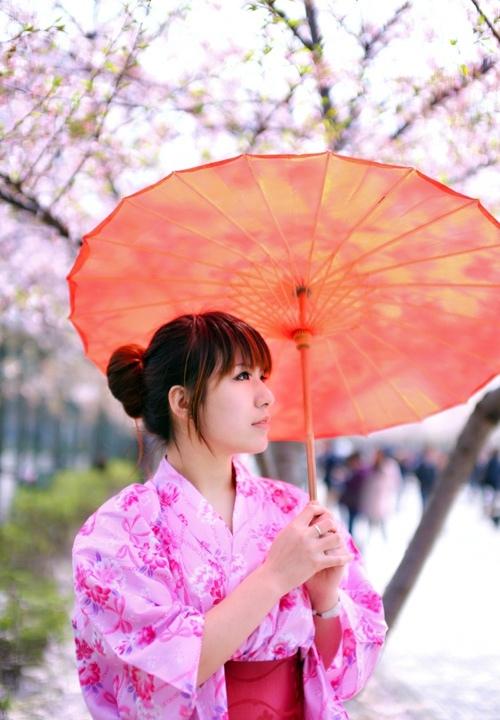 櫻花樹下的和風浴衣美女溫柔似水