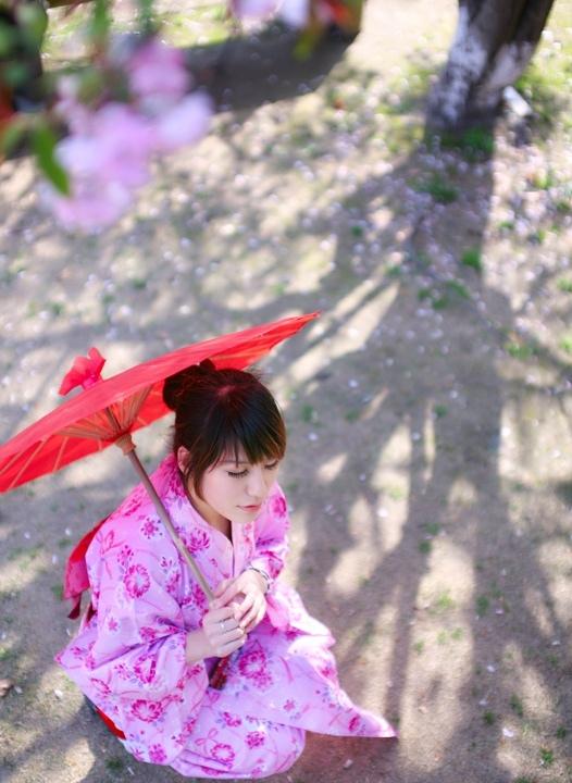 櫻花樹下的和風浴衣美女溫柔似水
