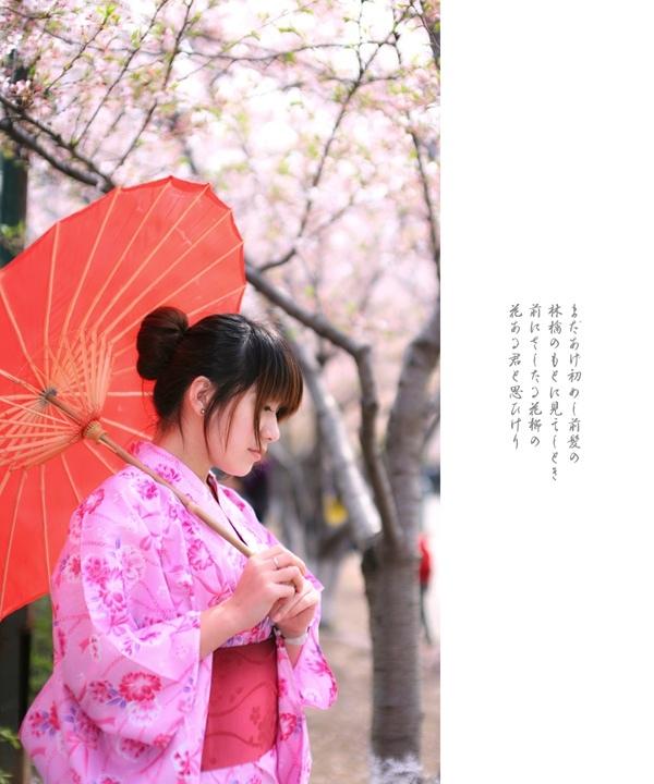 櫻花樹下的和風浴衣美女溫柔似水
