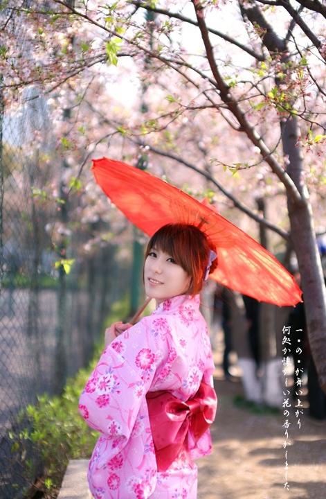 櫻花樹下的和風浴衣美女溫柔似水