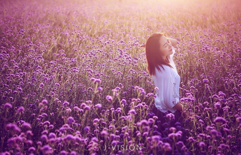 清純女孩花海從中最嬌艷性感美圖