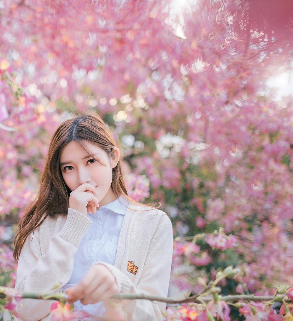 紫荊花開