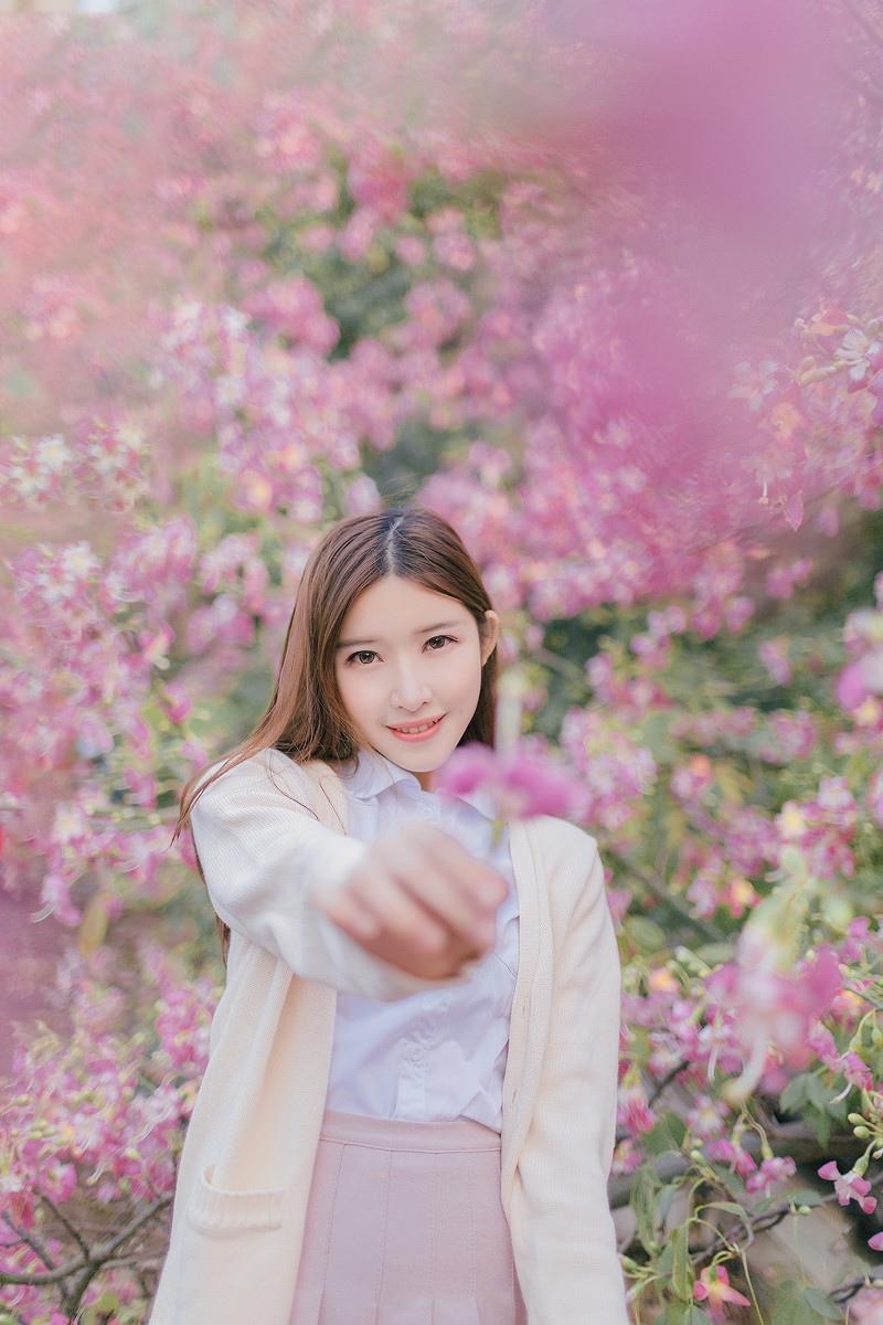 紫荊花開