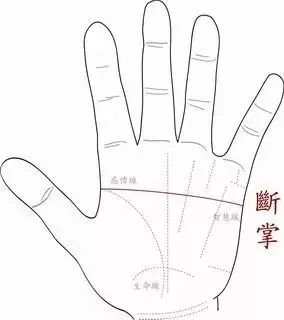 左手?jǐn)嗾聘毁F命！4中女人好命手相