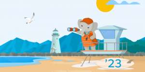 女人性工具(Salesforce Summer ’23重磅來襲10個亮點功能搶先看)
