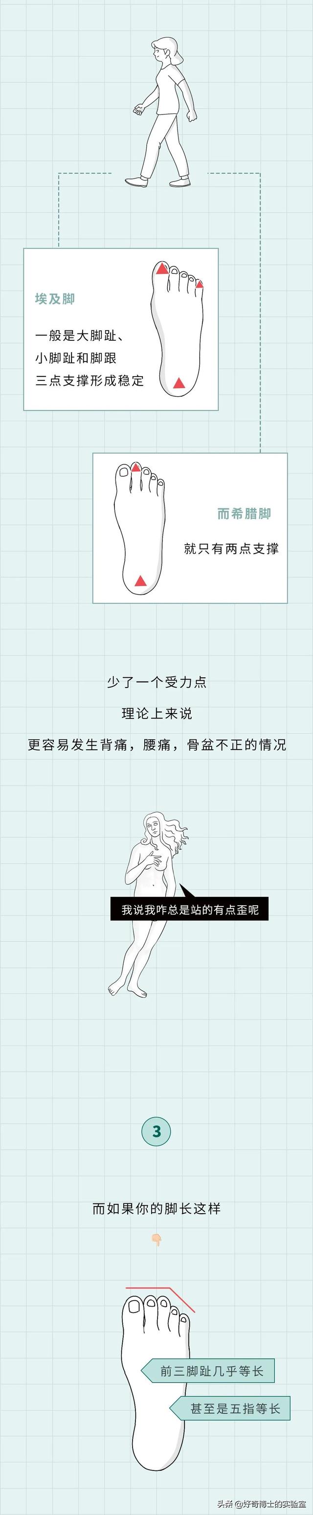 埃及腳、希臘腳、羅馬腳...哪種腳型的美女帥哥最多?