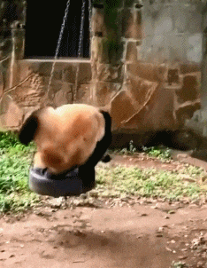 “妹子睡覺把腳伸我這，要給她點教訓嗎？”哈哈哈撓她的腳心才對