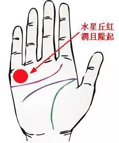 左手?jǐn)嗾聘毁F命！4中女人好命手相