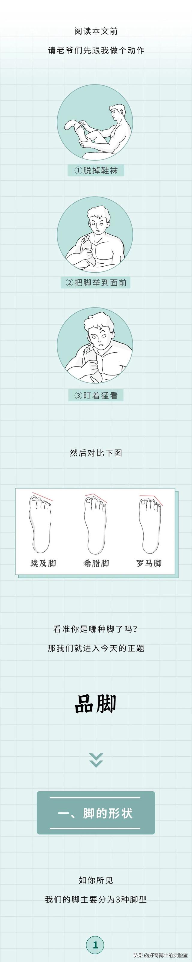 埃及腳、希臘腳、羅馬腳...哪種腳型的美女帥哥最多?