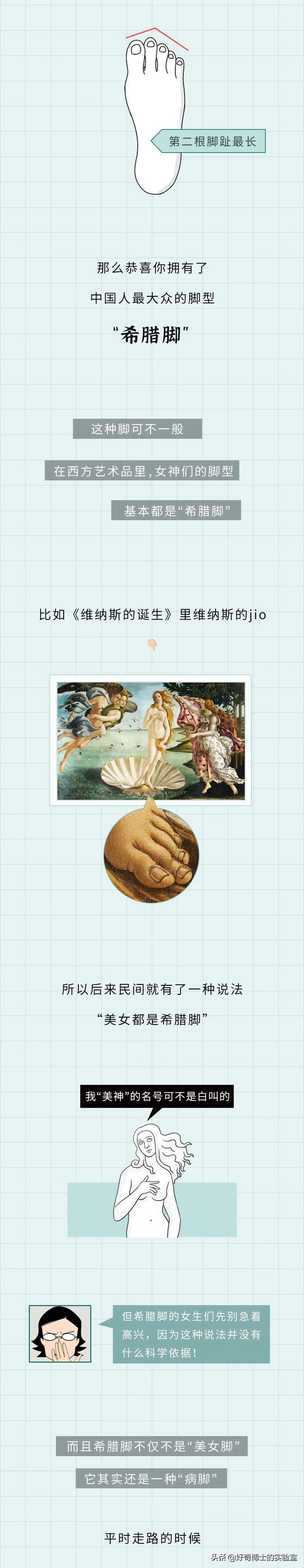 埃及腳、希臘腳、羅馬腳...哪種腳型的美女帥哥最多?