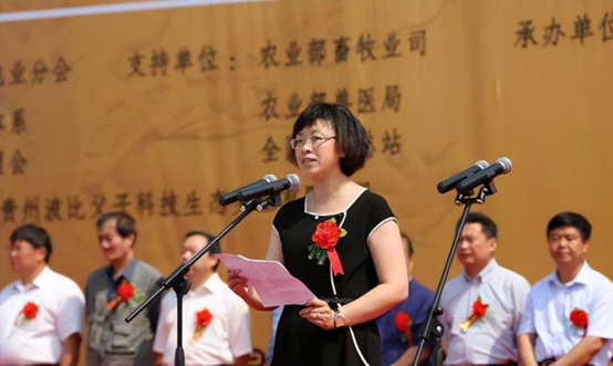 記實：美女市長楊曉波，陪睡40位男人，被抓時跪地哭喊求饒