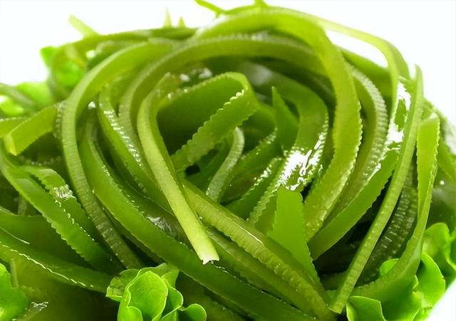 常吃7種食物或可補充“黃體酮”,常吃或會延緩衰老