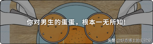 埃及腳、希臘腳、羅馬腳...哪種腳型的美女帥哥最多?