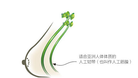 女性的乳房到底有多嬌嫩?看完這些你就知道了
