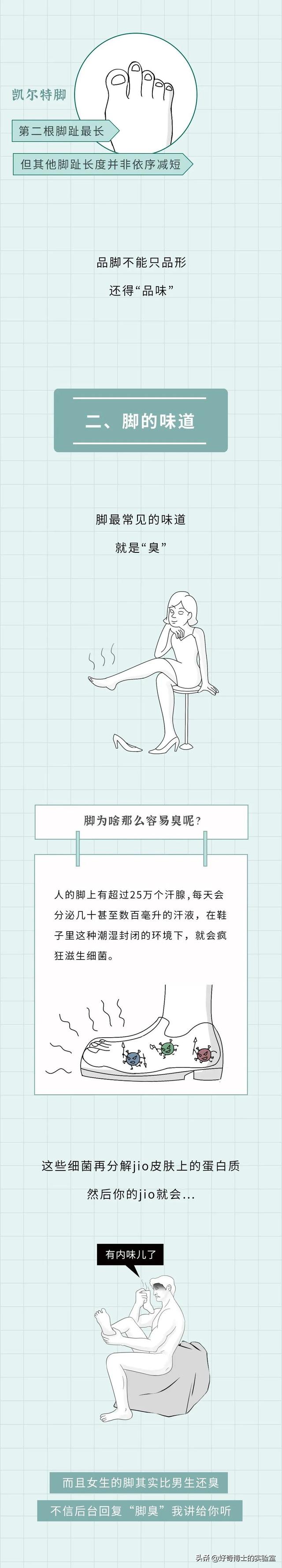 埃及腳、希臘腳、羅馬腳...哪種腳型的美女帥哥最多?