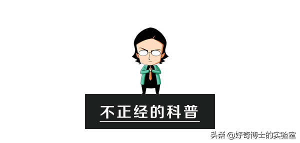 埃及腳、希臘腳、羅馬腳...哪種腳型的美女帥哥最多?