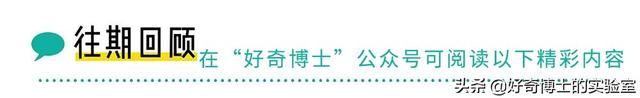 埃及腳、希臘腳、羅馬腳...哪種腳型的美女帥哥最多?