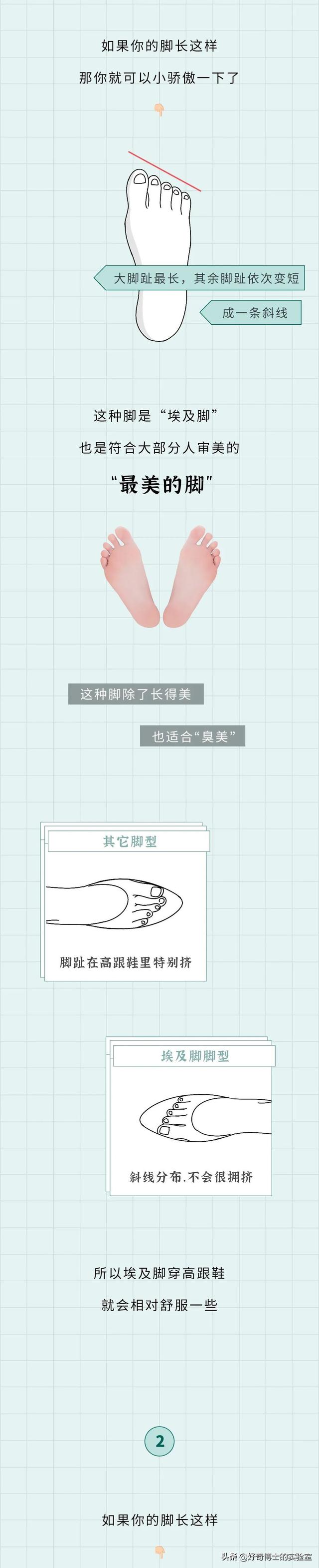 埃及腳、希臘腳、羅馬腳...哪種腳型的美女帥哥最多?