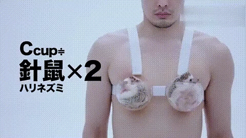 女人胸部太大,到底會有什么煩惱?這是我聽過最直接全面的答案