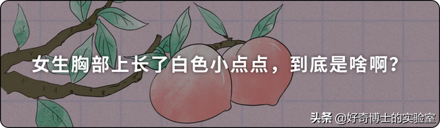 埃及腳、希臘腳、羅馬腳...哪種腳型的美女帥哥最多?