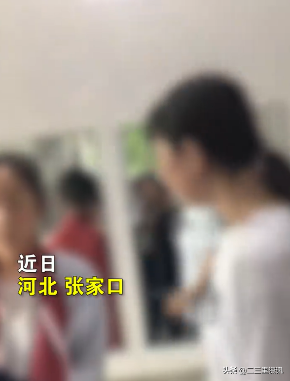 河北3女孩廁所內多次掌摑圍毆一女生,官方:已對打人者治安行政處罰
