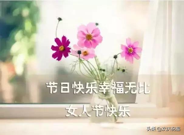 女人節!問候!送給天下所有的女人