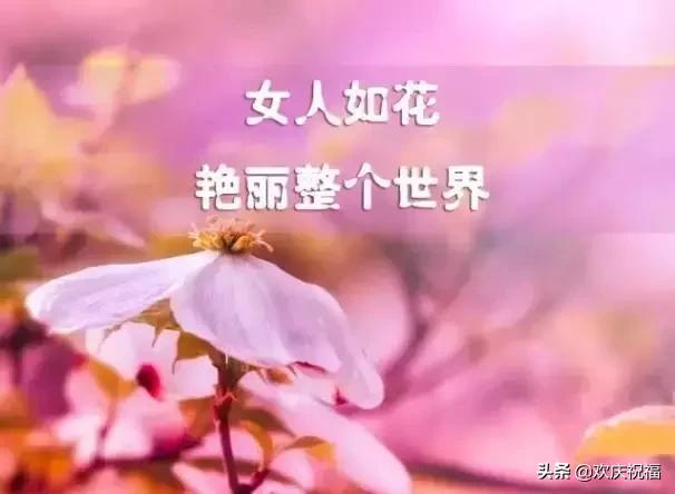 女人節!問候!送給天下所有的女人