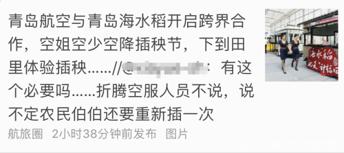 身著靚麗制服的青航空姐空少下地插秧,你怎么看?
