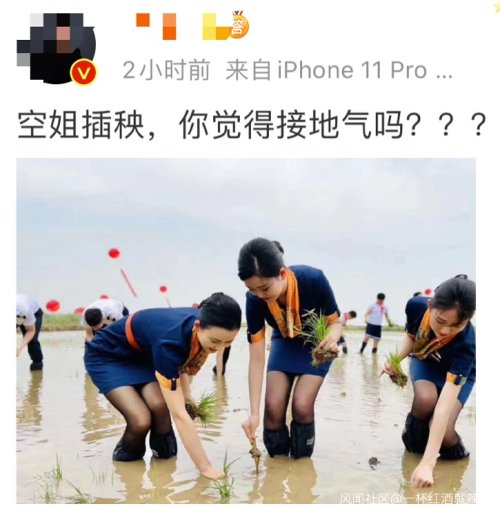 身著靚麗制服的青航空姐空少下地插秧,你怎么看?