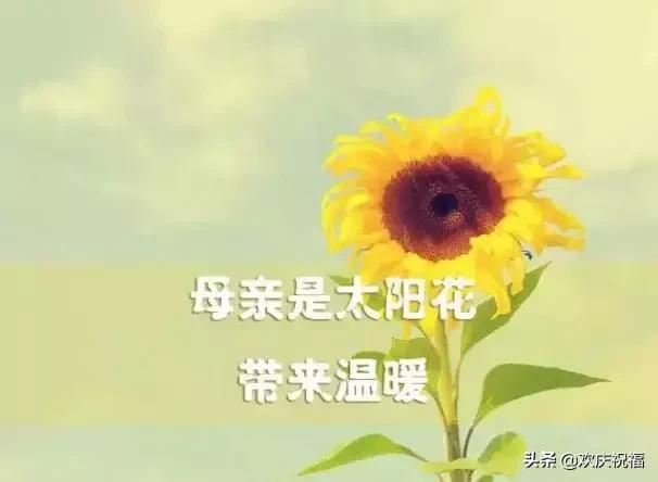 女人節!問候!送給天下所有的女人