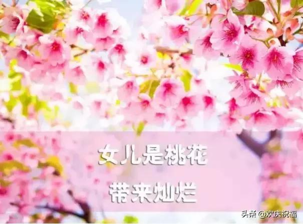 女人節!問候!送給天下所有的女人