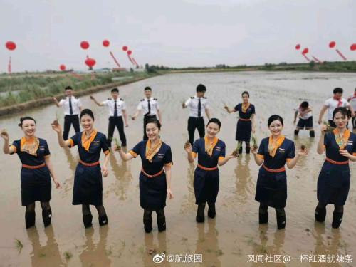 身著靚麗制服的青航空姐空少下地插秧,你怎么看?