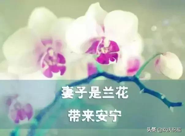 女人節!問候!送給天下所有的女人
