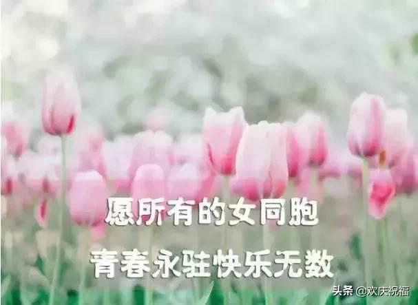 女人節!問候!送給天下所有的女人
