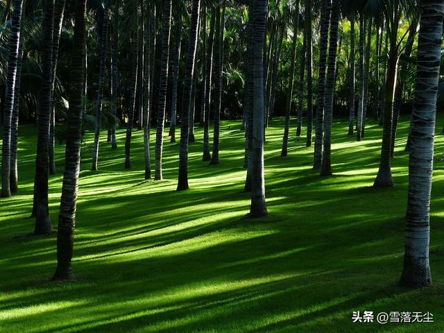 男女之間的“十大差異”:只有真正看明白的人,才能找到真愛