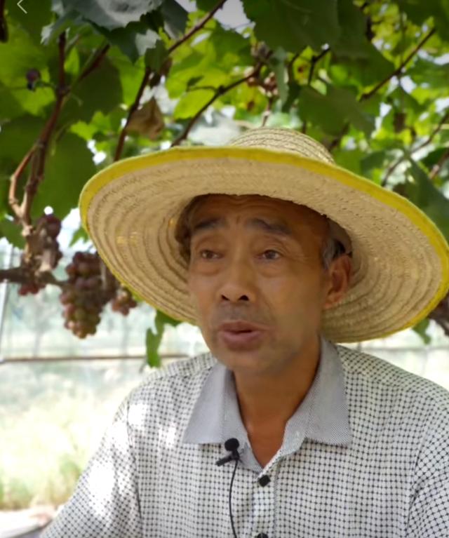 湖北一美女終圓教師夢,誰知肚子疼后悲劇發生,媽媽崩潰痛哭流涕