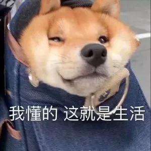 校閱女孩(《校閱女孩》再拍被嘲？這一次服化組出來背鍋)