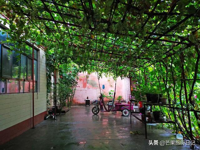 新疆旅游,到回族美女家做客,眼界大開,簡直是女人夢想的天堂