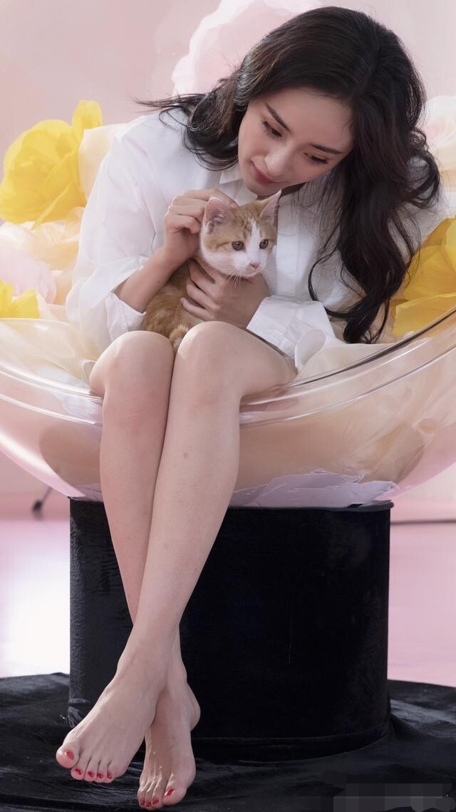 楊冪的腳
