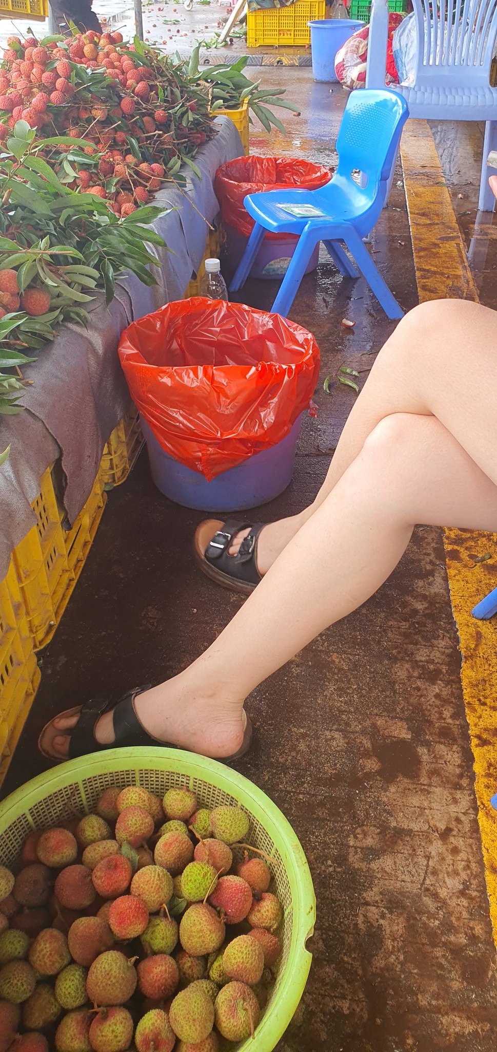 漂亮的小腳丫