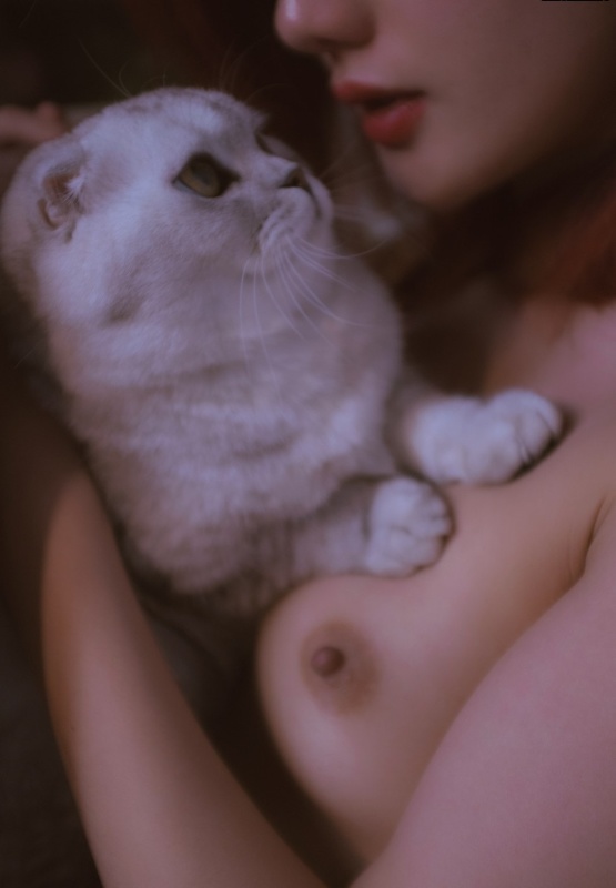 美女與貓貓