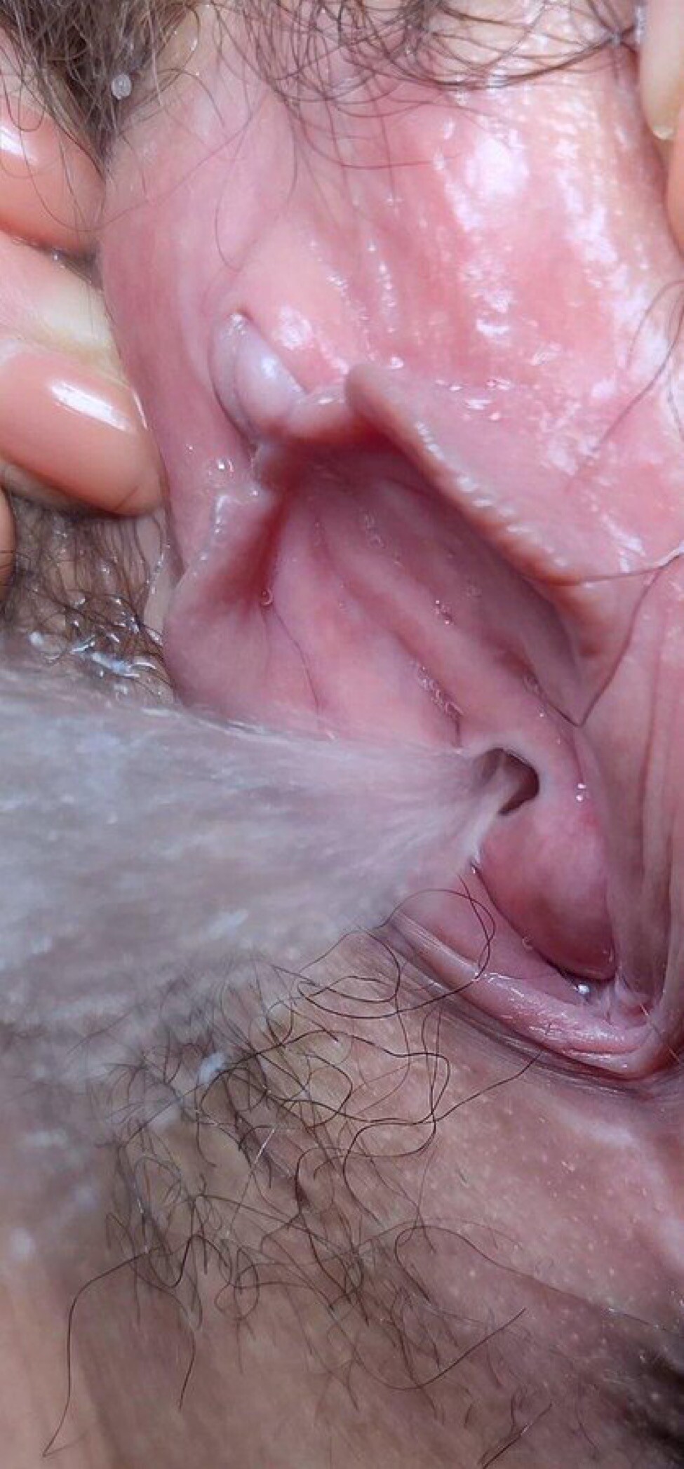 [小母狗] 深夜福利—— 嫻靜時如嬌花照水,行動處似弱柳扶風