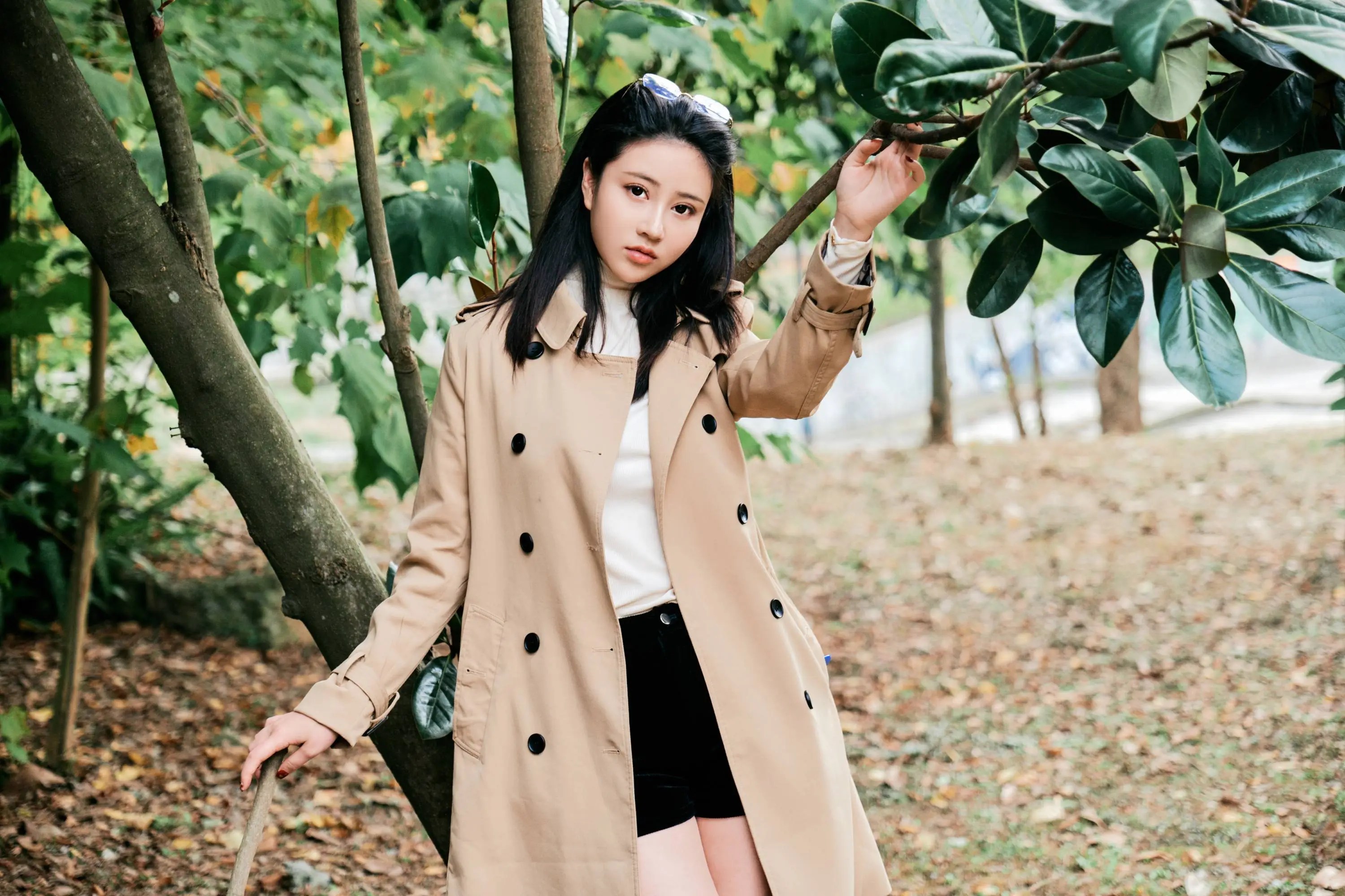 小樹林里風景好